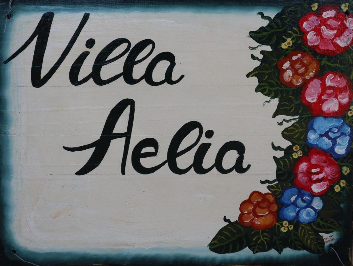 Villa Aelia - A Peaceful And Private Place 아르고스톨리온 외부 사진