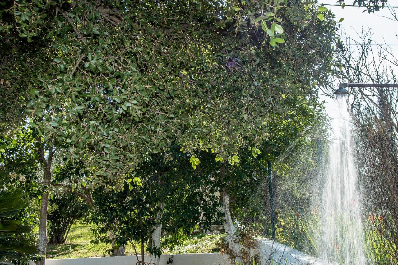 Villa Aelia - A Peaceful And Private Place 아르고스톨리온 외부 사진